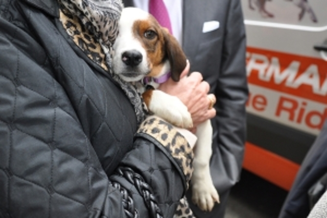 34 Dogs Safely Transported Thanks to Nancy Silverman Rescue Ride