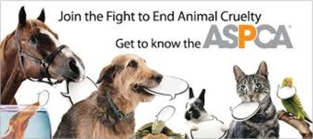 ASPCA’s contract