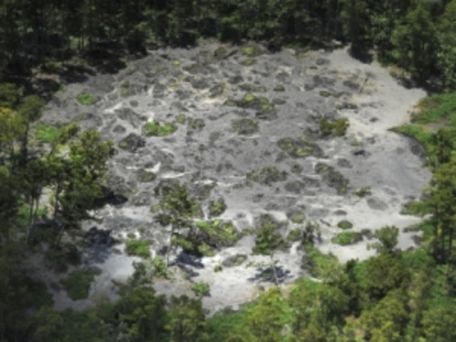 The disappearance of 27,433 acres of swamplands.