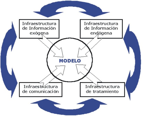 Organizational model