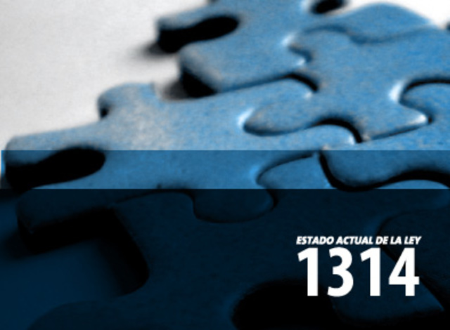 LEY 1314
