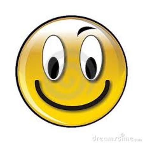 HERRAMIENTAS DE LA WEB VOCKY Y PIXTON