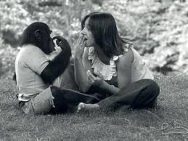 la comunicación era entre animales