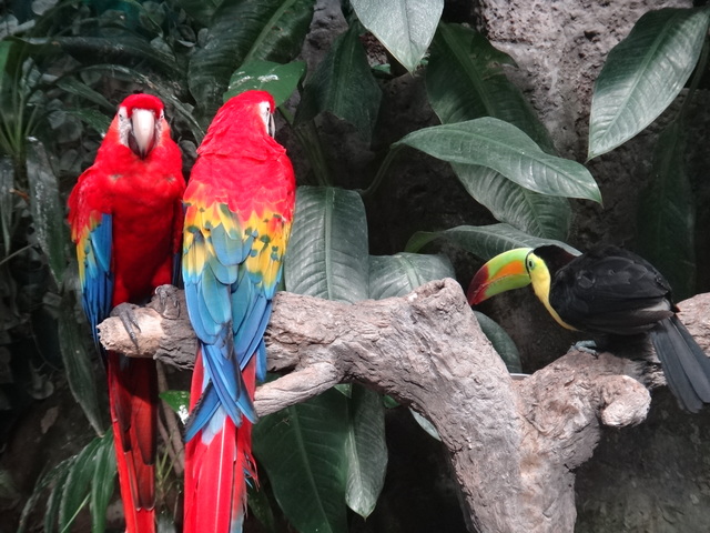 KARLA PRETELÍN ROSAS