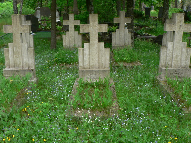 Die at 91 years old (Rough Date),Biosocial, Cognitive, Psychosocial