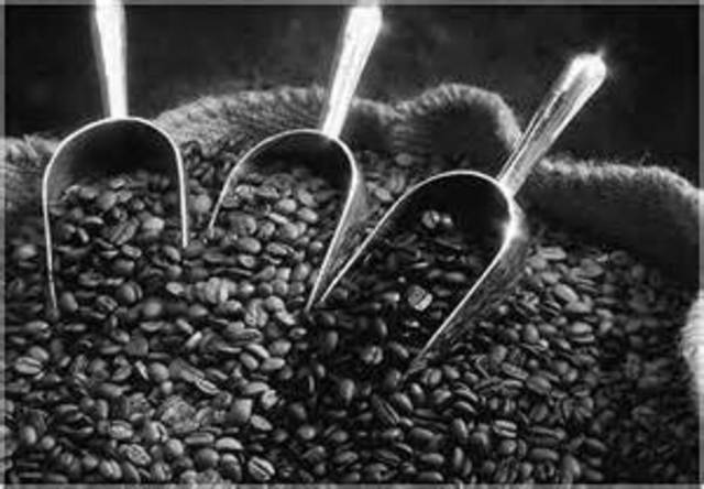 Modelo Económico Exportador