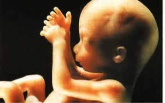 Semana decimo novena de gestación