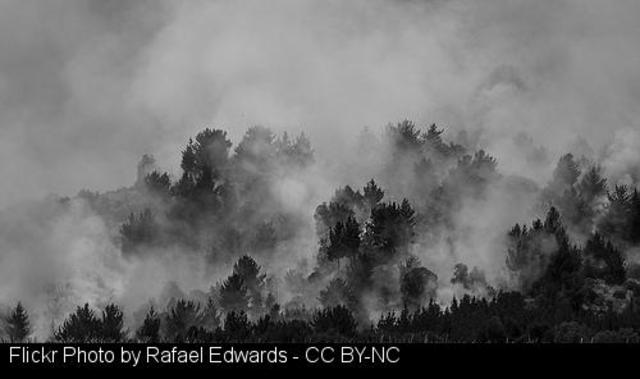 Unha xuíza decidirá se O Madanelo foi ferido ao ser atacado por un conveciño ou se caeu da moto