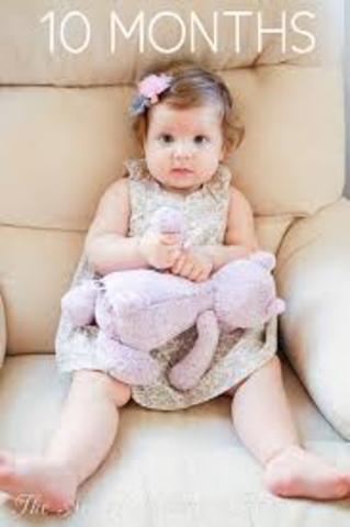 Phase 1:Canonical Babbling/7-10 months