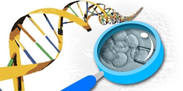 Start of Stem cell research, human cloning