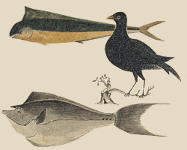 Clark Sends Findings to Lincoln