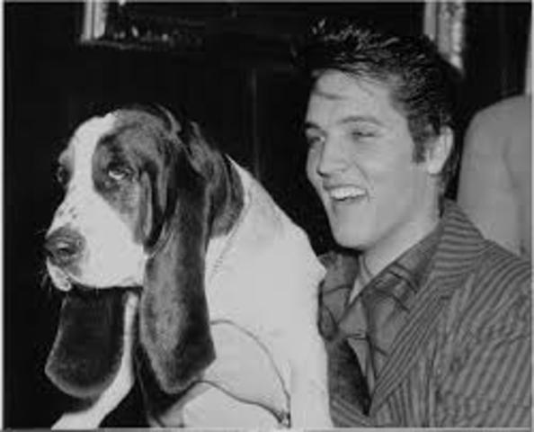 Elvis Presley "Hound dog" is released