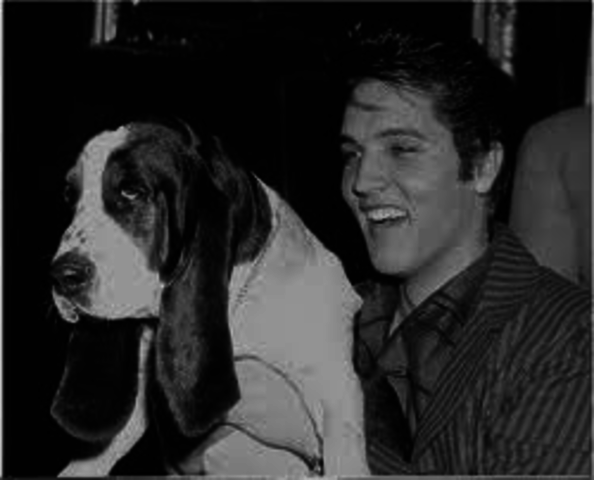 Hound Dog Release Date