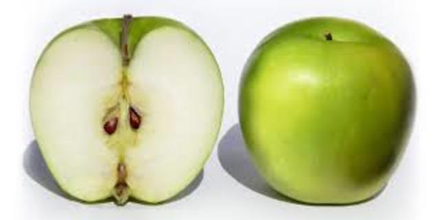 Després de adobar bé tota la part del terreny, ja podem plantar els pomers