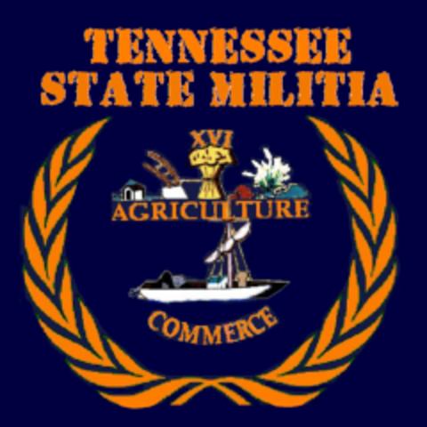 Crockett Resigns from militia