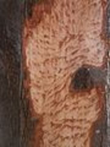 Supplies are Exhausted