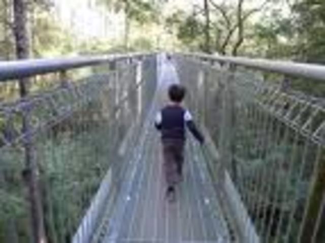 5 year old - Social/Emotional Development