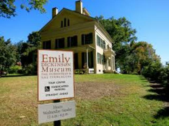 Museum Of Emily