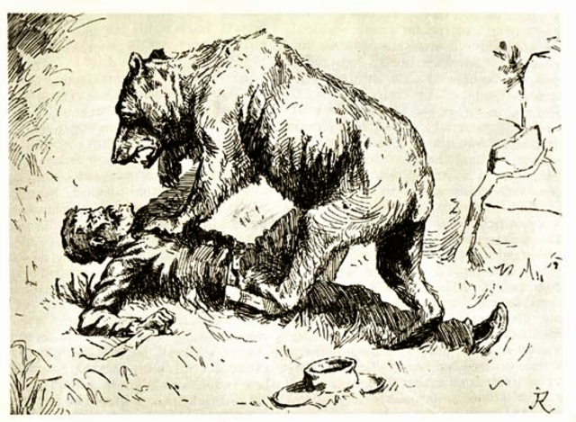 Attacked By Grizzly Bear