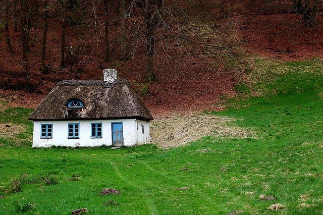 Enkefruen flyttede ind med