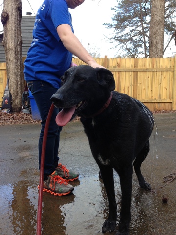 senior year shampoo proj.