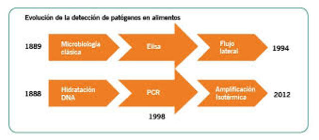 evolucion de industrias alimentarias siglo xx