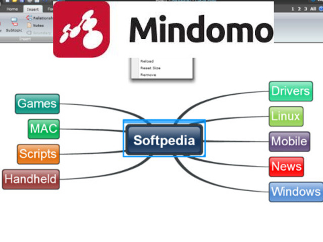 PRESENTAMOS NUESTRO PLE, MAPAS MENTALES