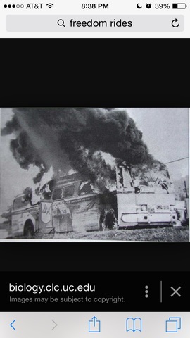 Freedom Rides