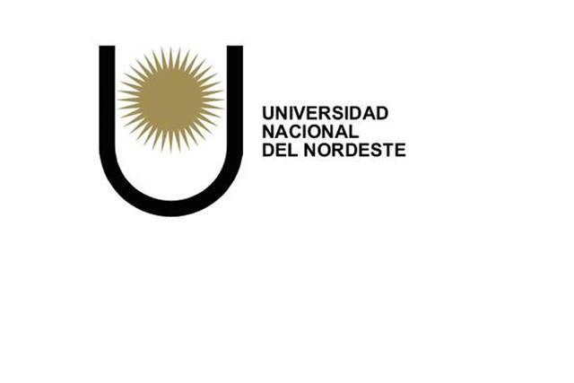 los grados y las especializaciones