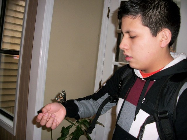 PETA will kill me...