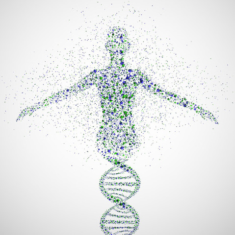 Human Genome Finished