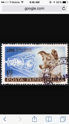 Laika Stamp