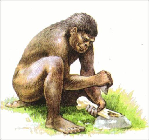 Архантропы (1,8-0,1 миллиона лет назад)