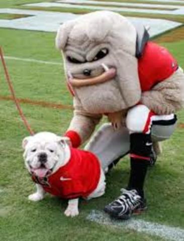 The end of my football career of being a Georgia bulldog