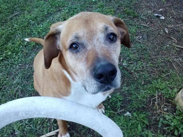 Lost my Best Friend, Wrinkles