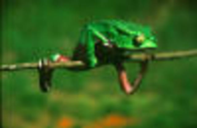 Reserva mundial de la Biosfera