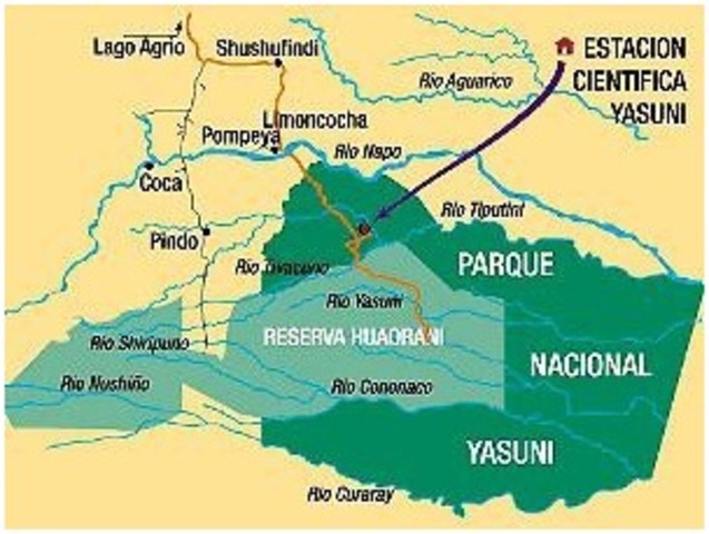 Reserva declarada zona intangible