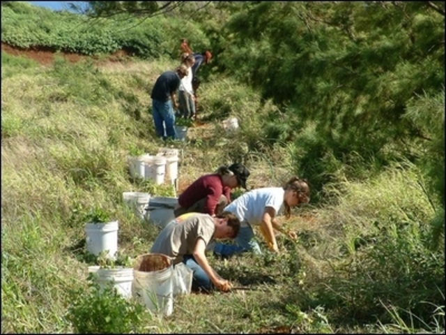 Kaho'olawe Cleanup