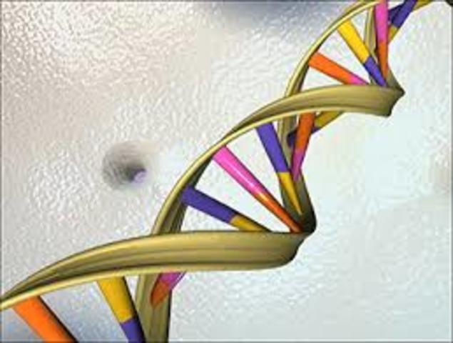 Human Genome Project finishes