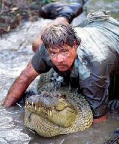 Wrangle a crocodile