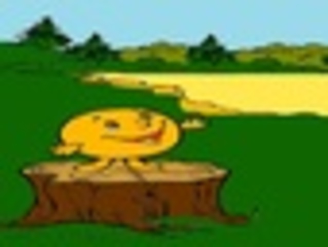 National and regional cuisine