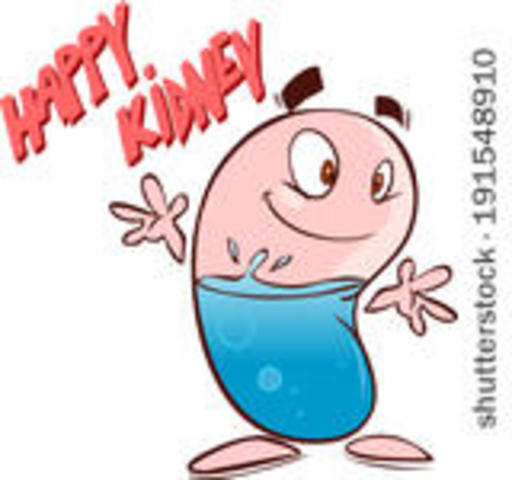 Elección del producto final