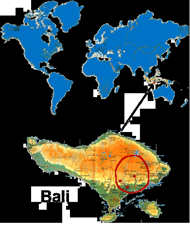 Bali terrorist attack