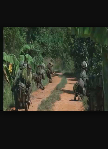 forrest enters vietnam
