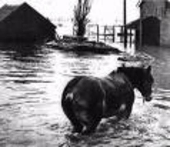 (6) North Sea Flood 1835 dead