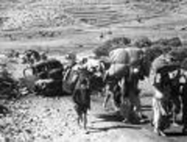 Arab-Israeli War of 1948