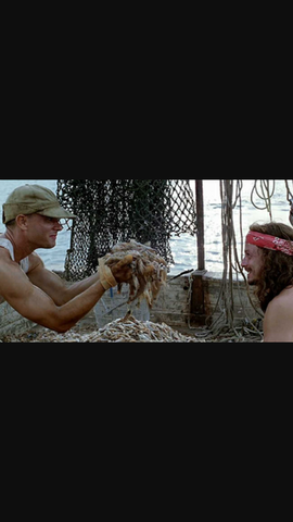 Hurricane Carmen struck