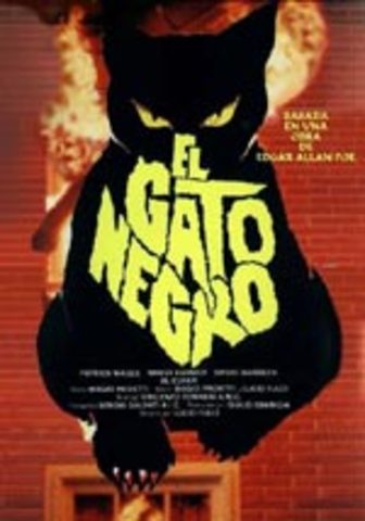 El gato negro