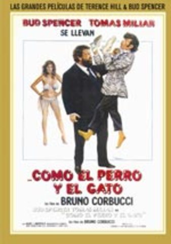 ... Como el perro y el gato