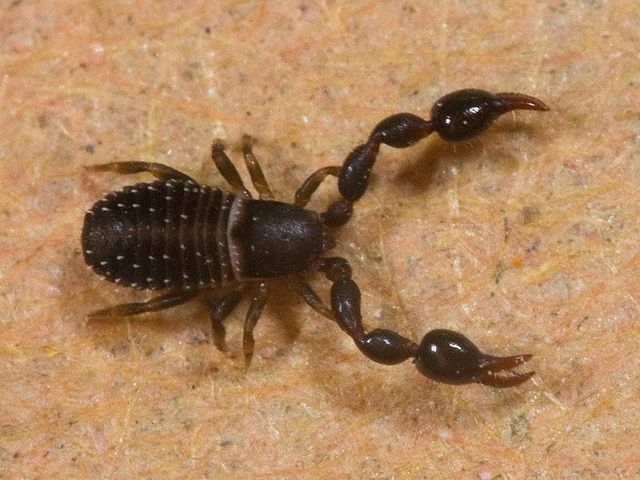 8 months after death